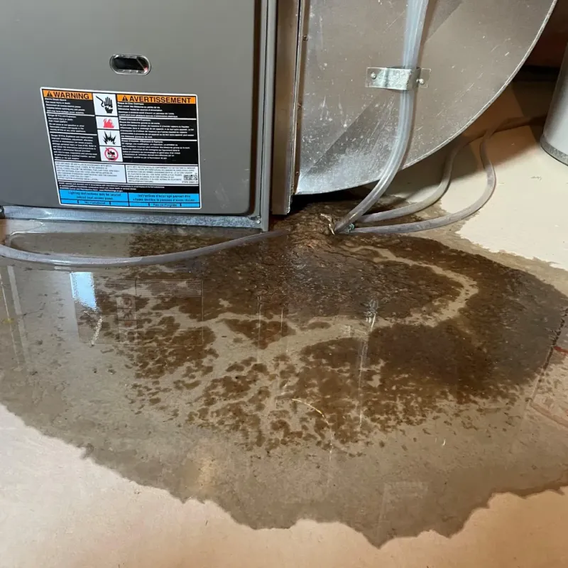 Appliance Leak Cleanup in Bear Creek, AL